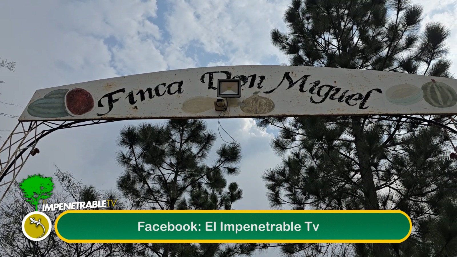 Imagen adicional