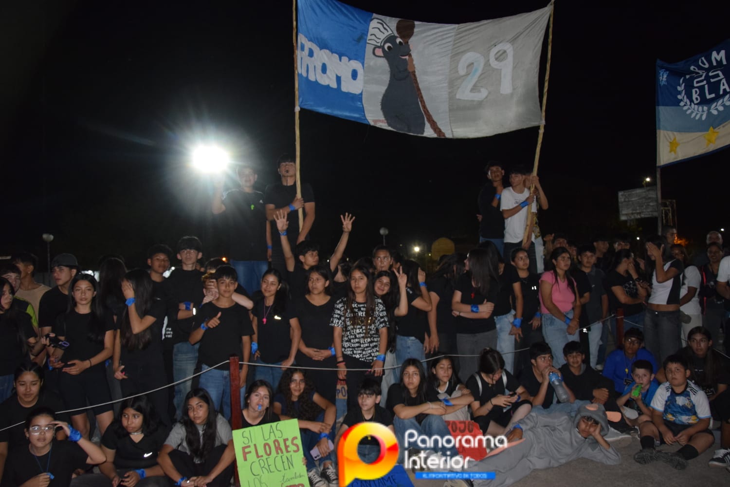Imagen adicional