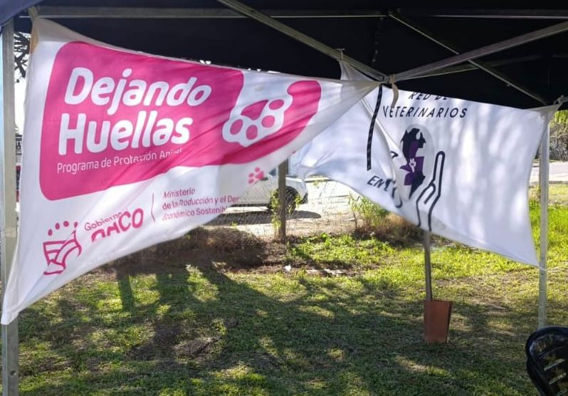 Imagen adicional