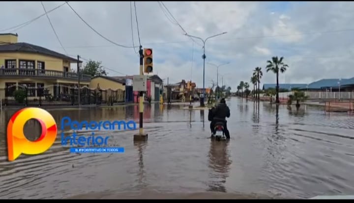 Imagen adicional