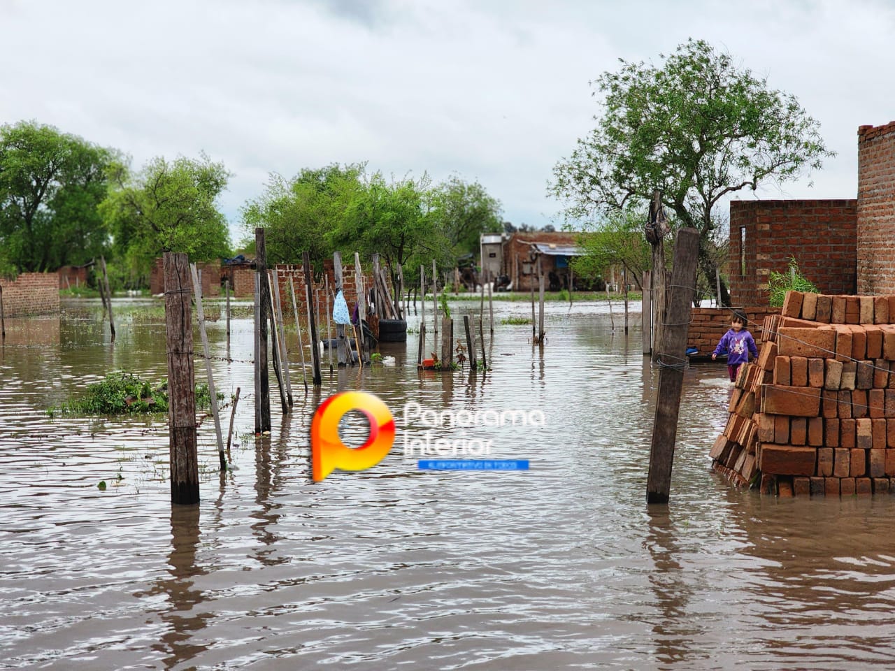 Imagen adicional