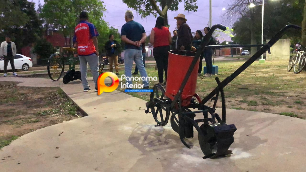 Imagen adicional