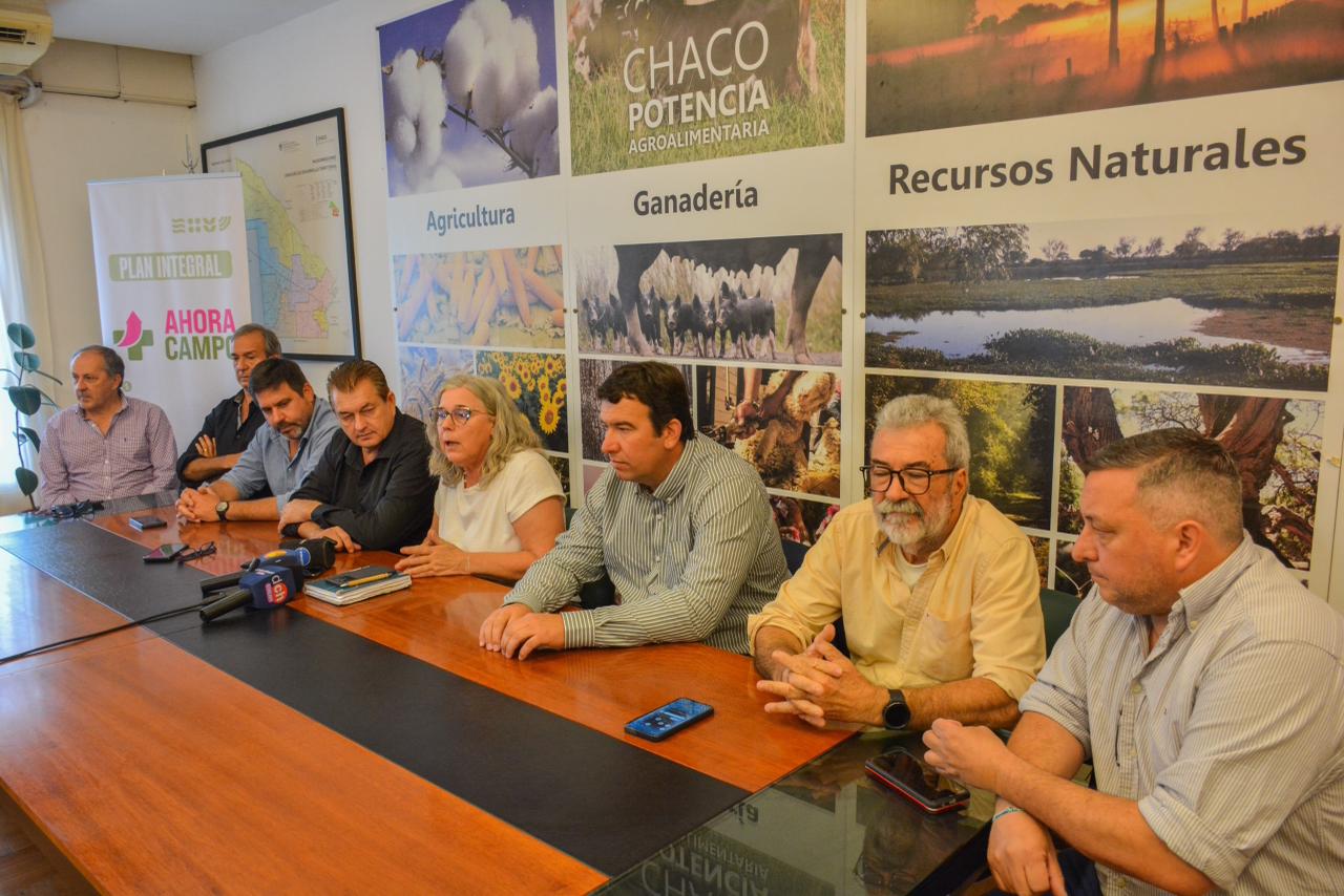 Imagen adicional