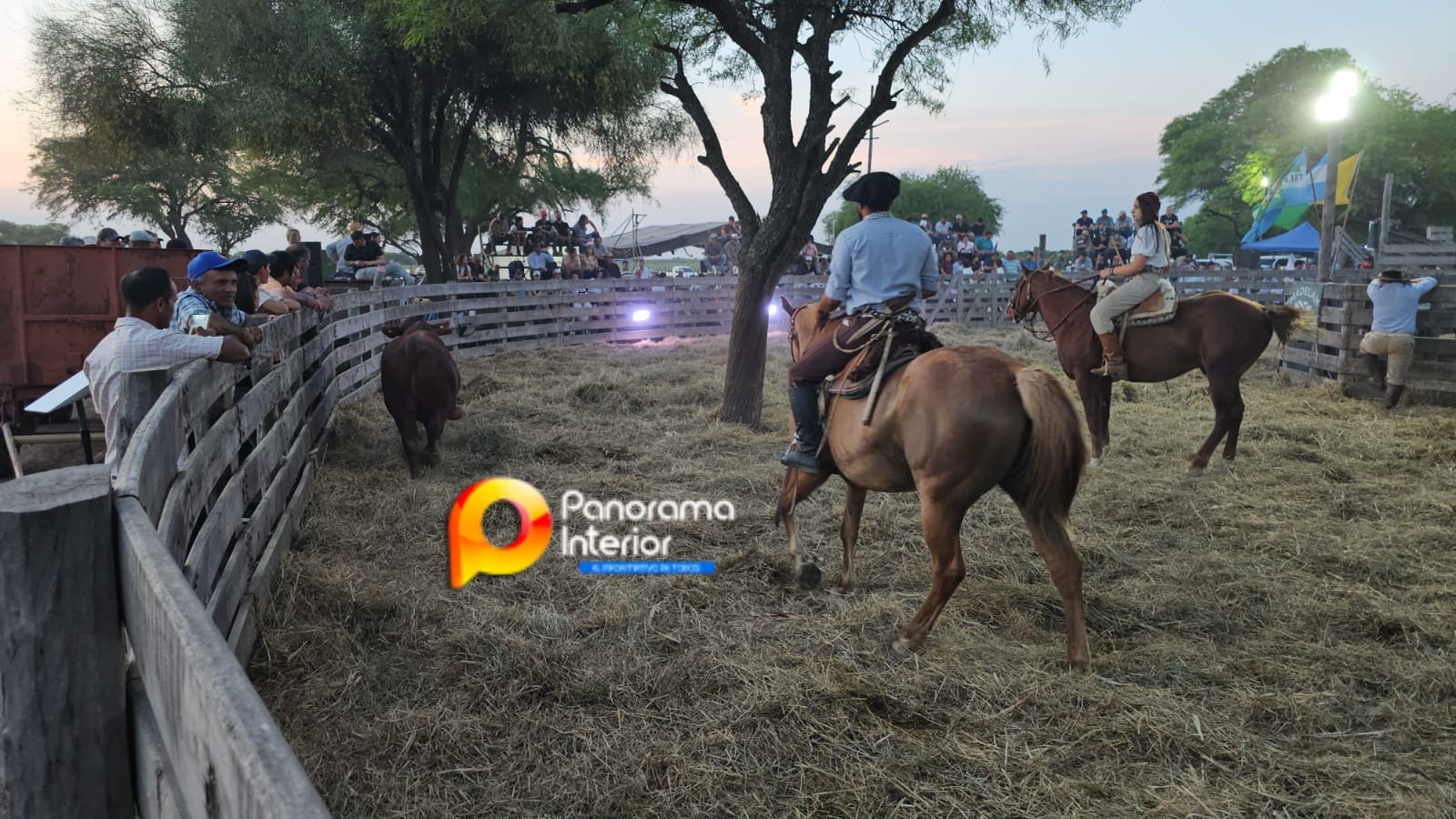 Imagen adicional
