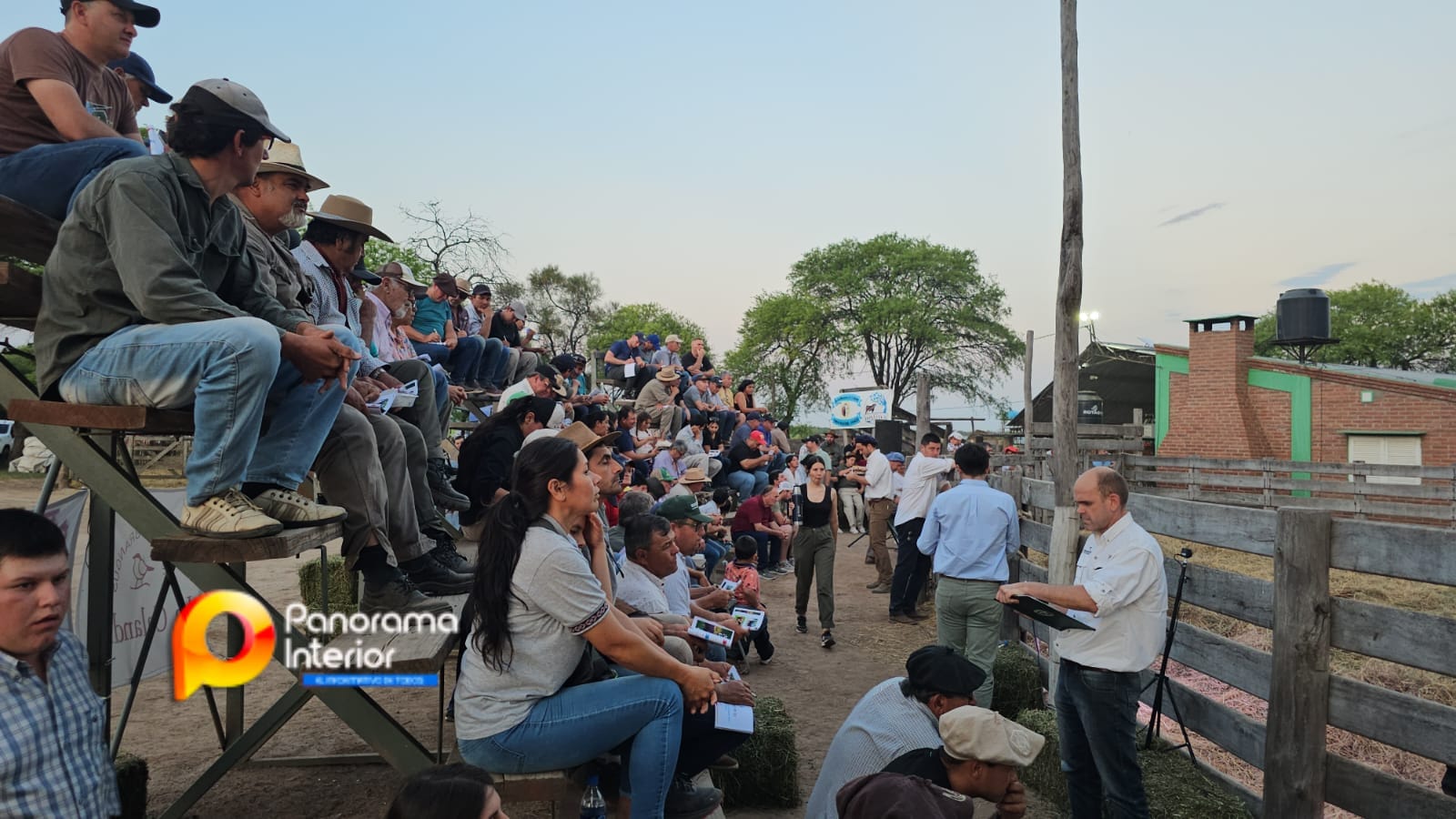 Imagen adicional