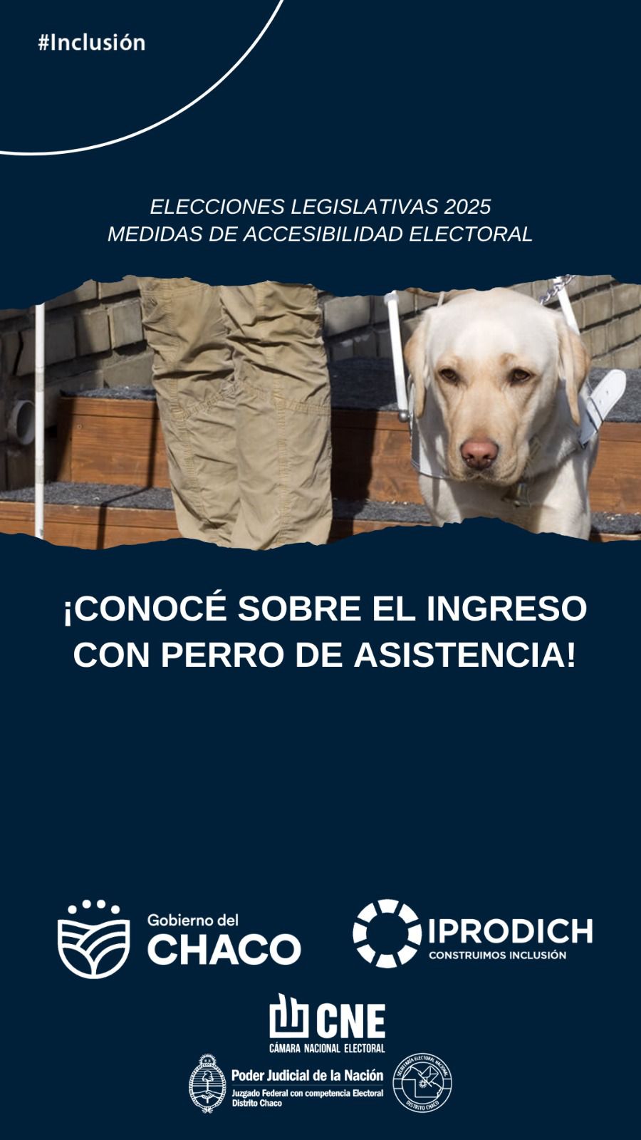 Imagen adicional