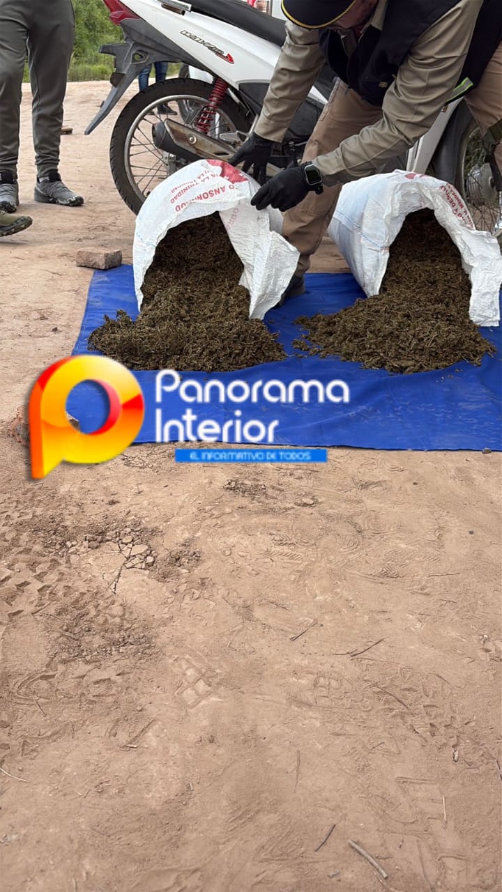 Imagen adicional