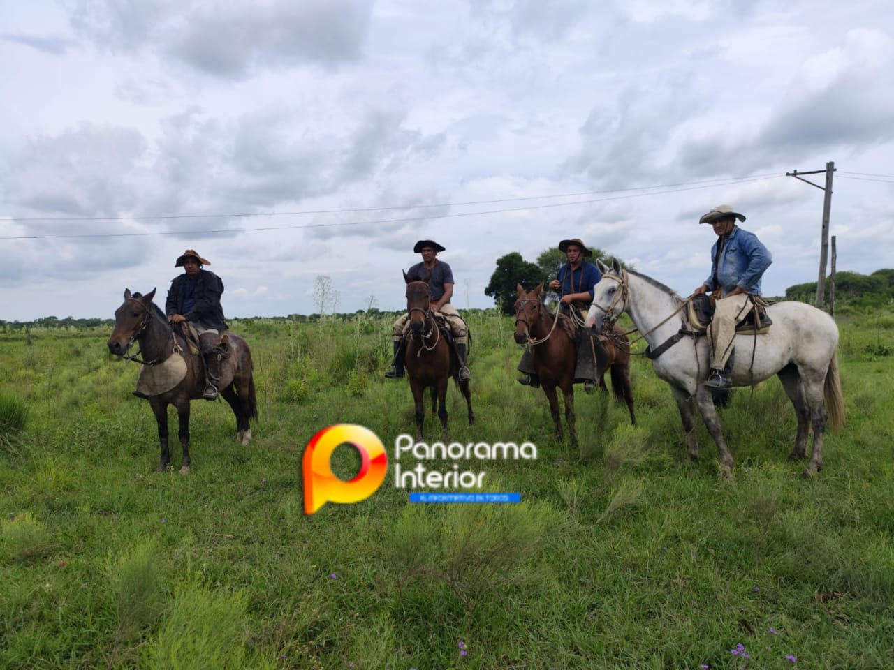 Imagen adicional