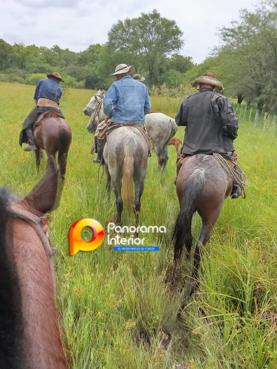 Imagen adicional
