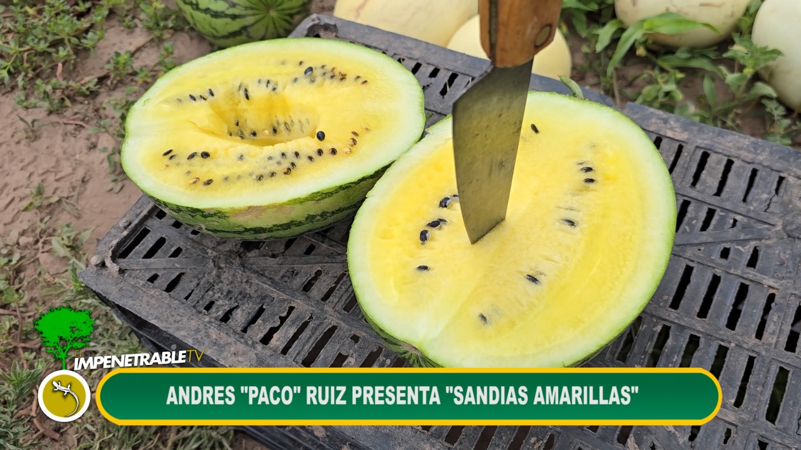 Imagen adicional