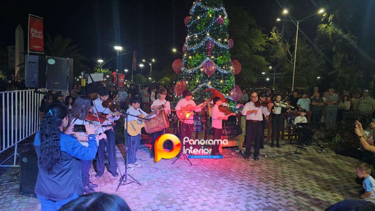 Imagen adicional