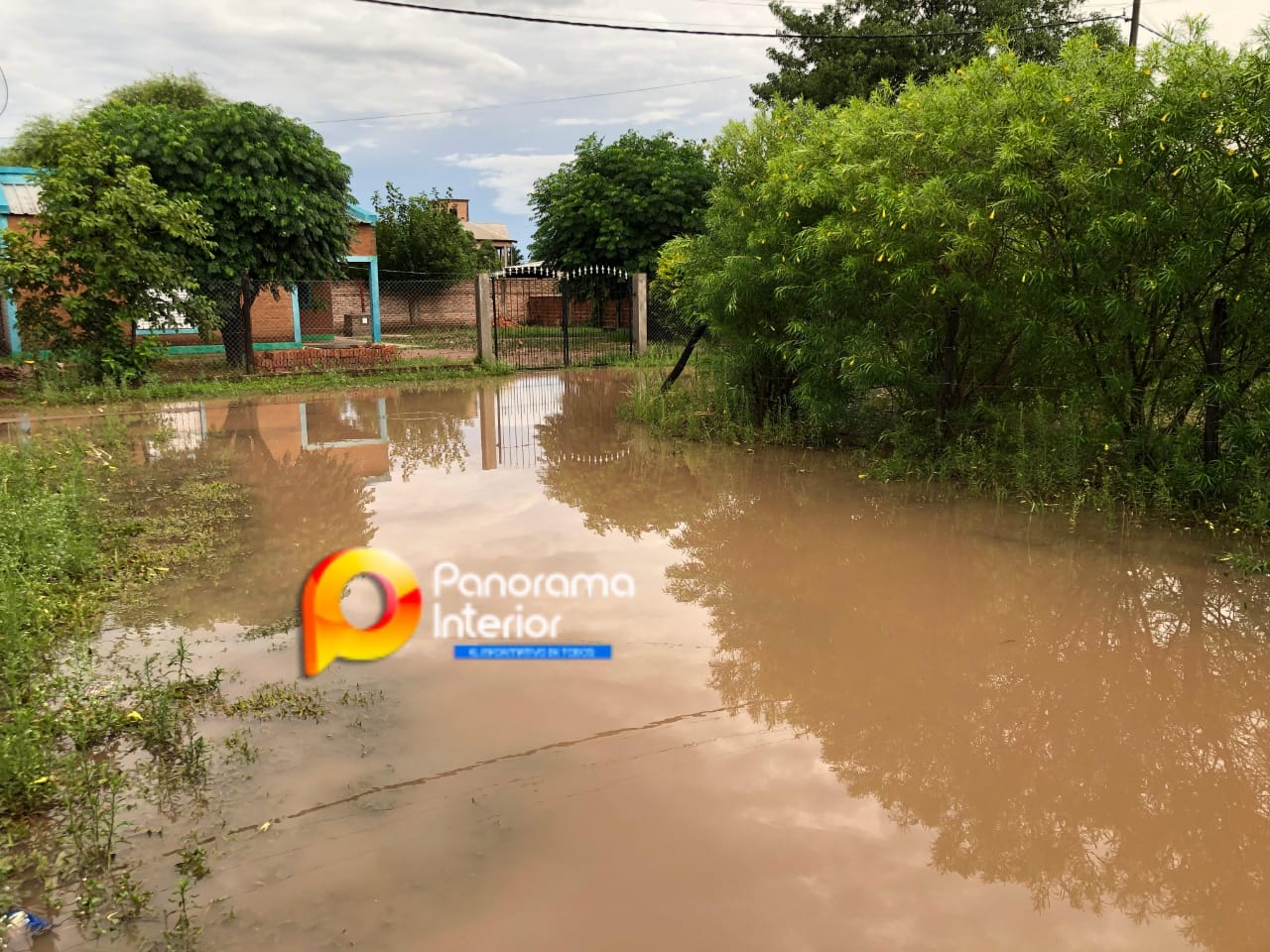 Imagen adicional