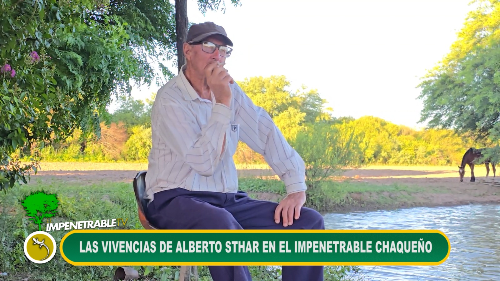 Imagen adicional