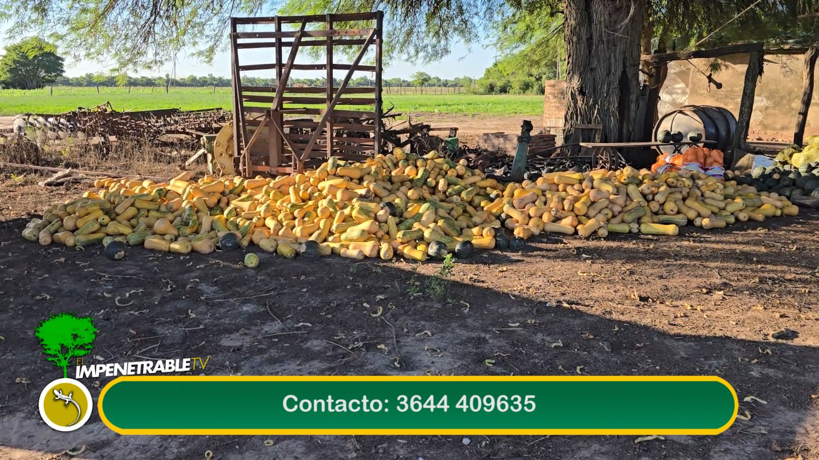 Imagen adicional