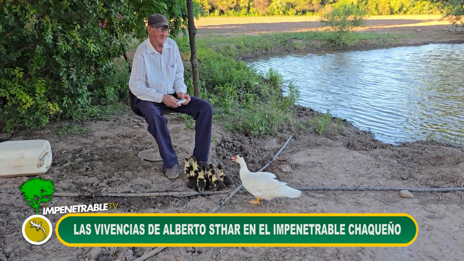 Imagen adicional