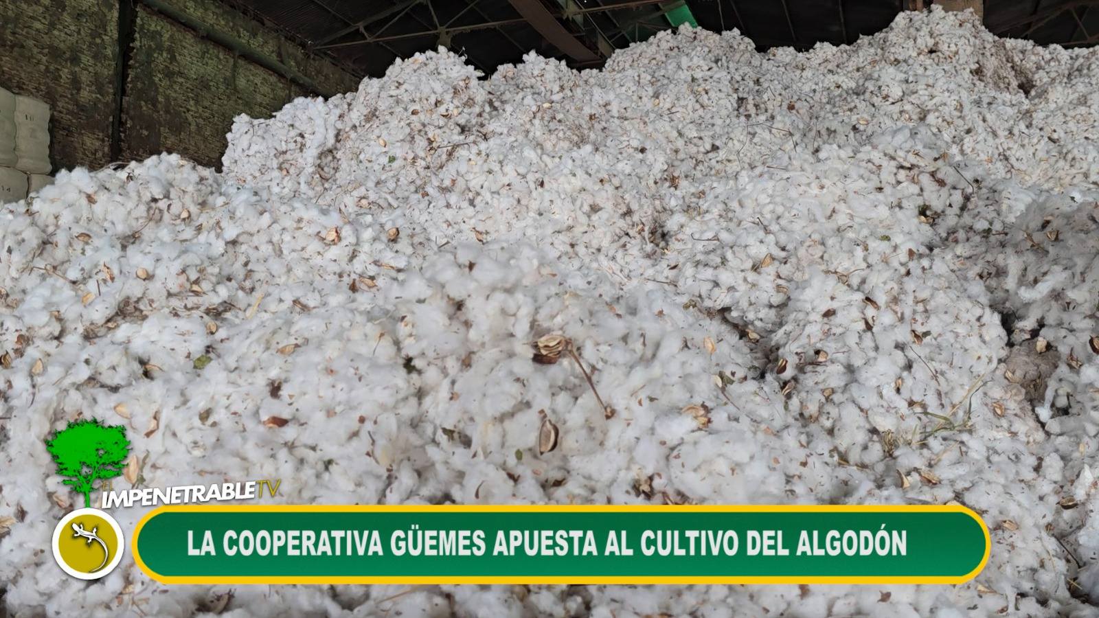 Imagen adicional