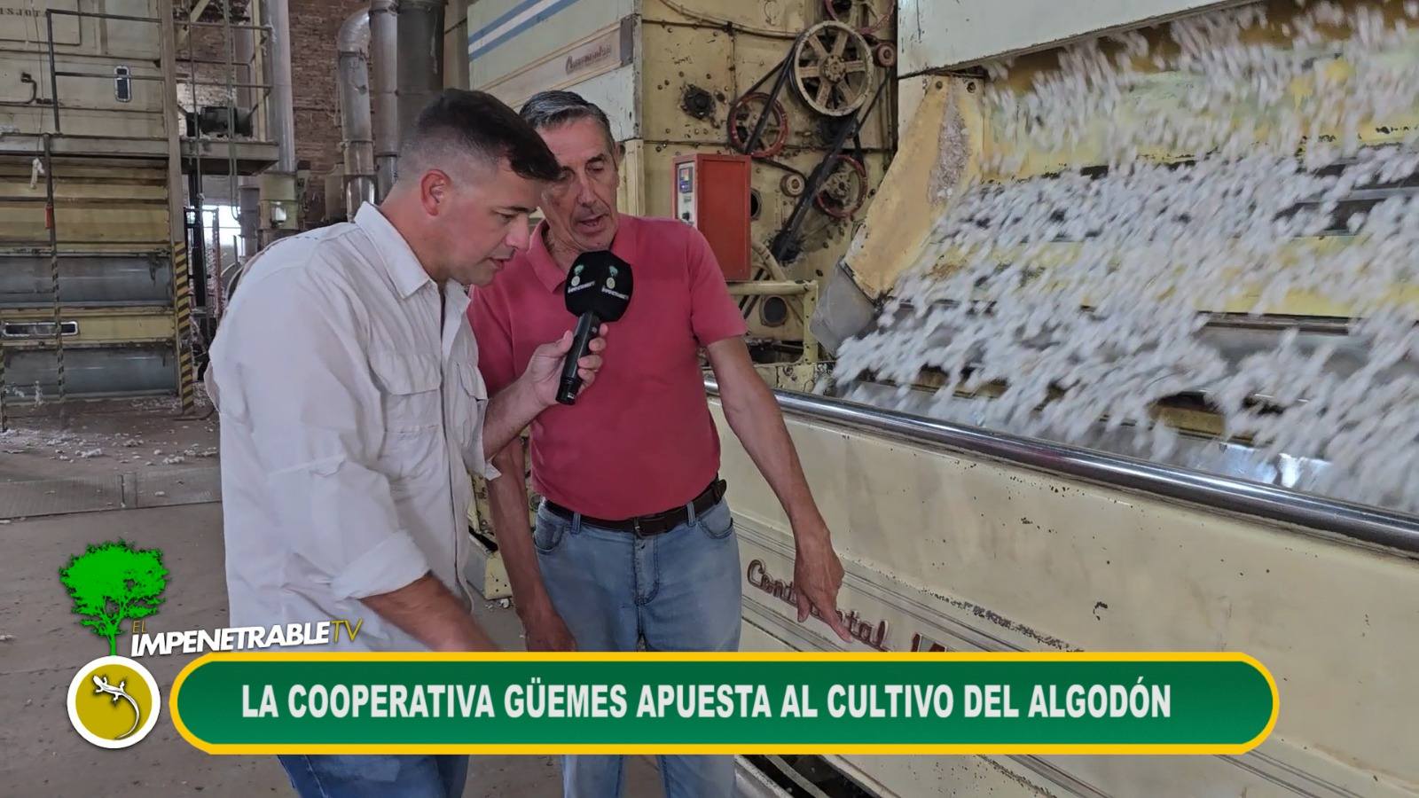 Imagen adicional