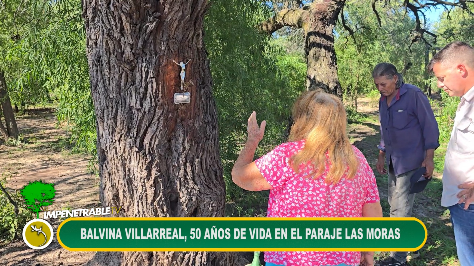 Imagen adicional