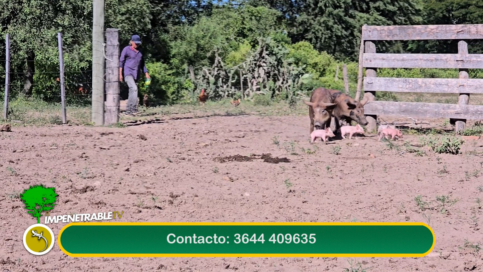 Imagen adicional