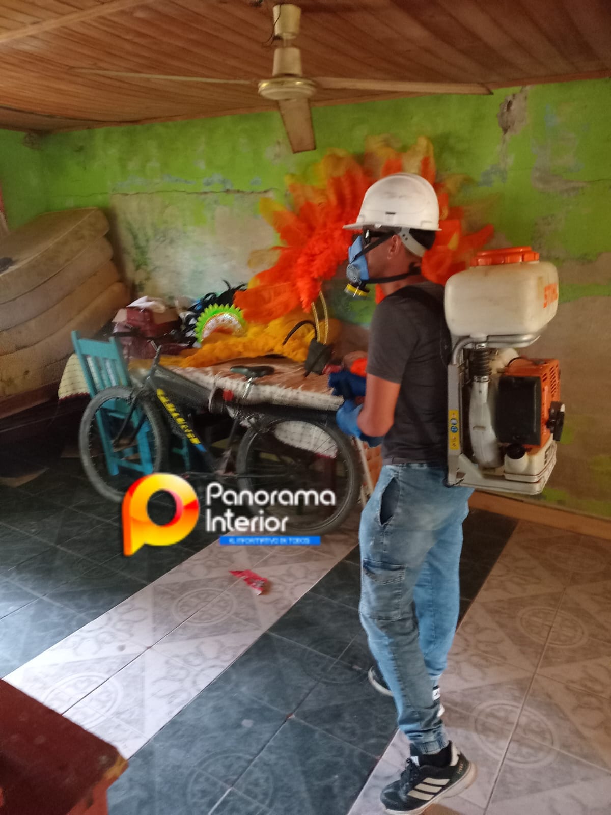 Imagen adicional