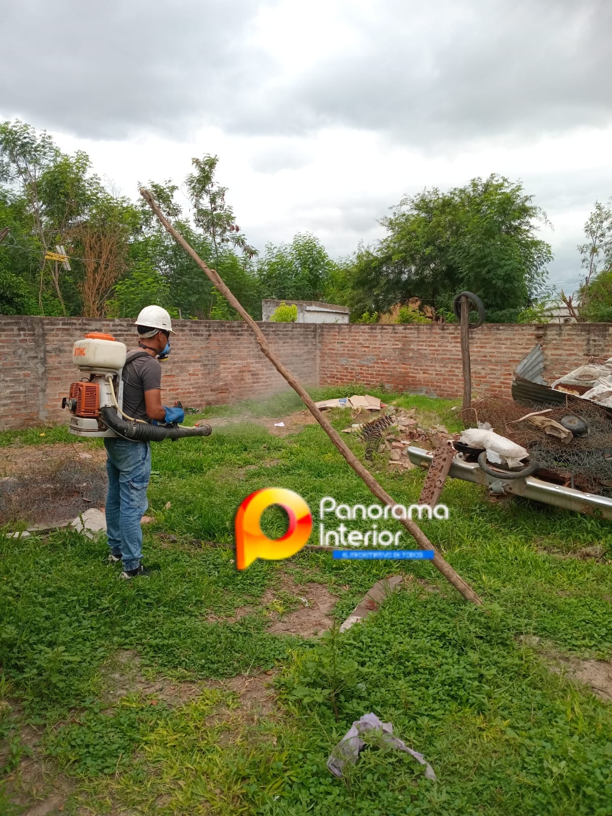 Imagen adicional