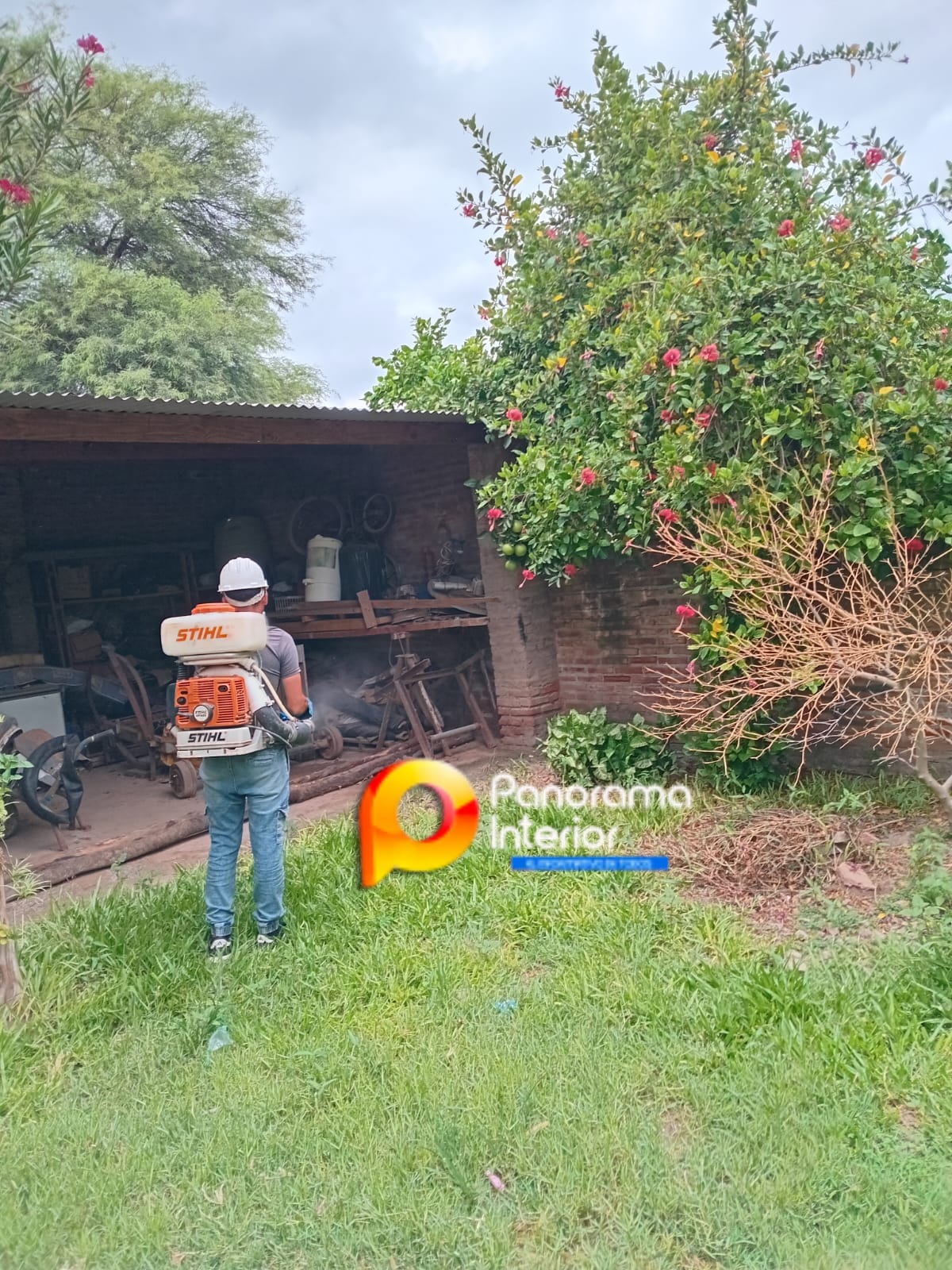 Imagen adicional