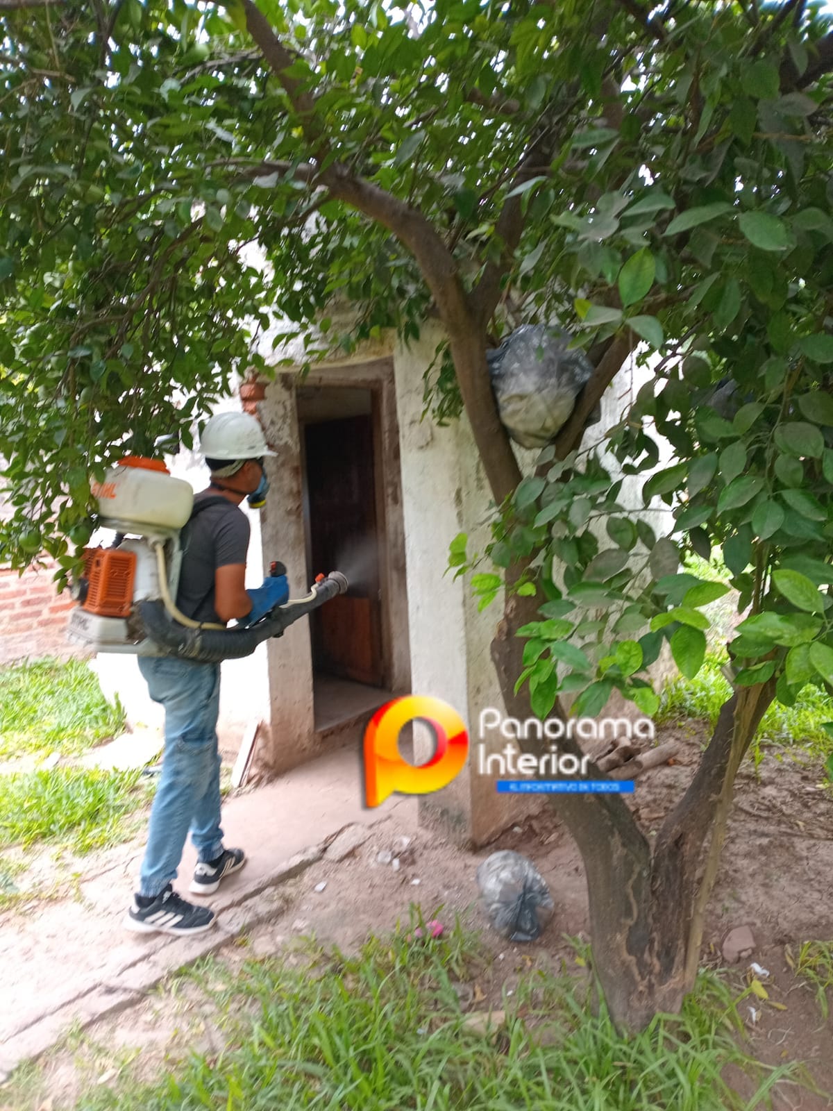 Imagen adicional