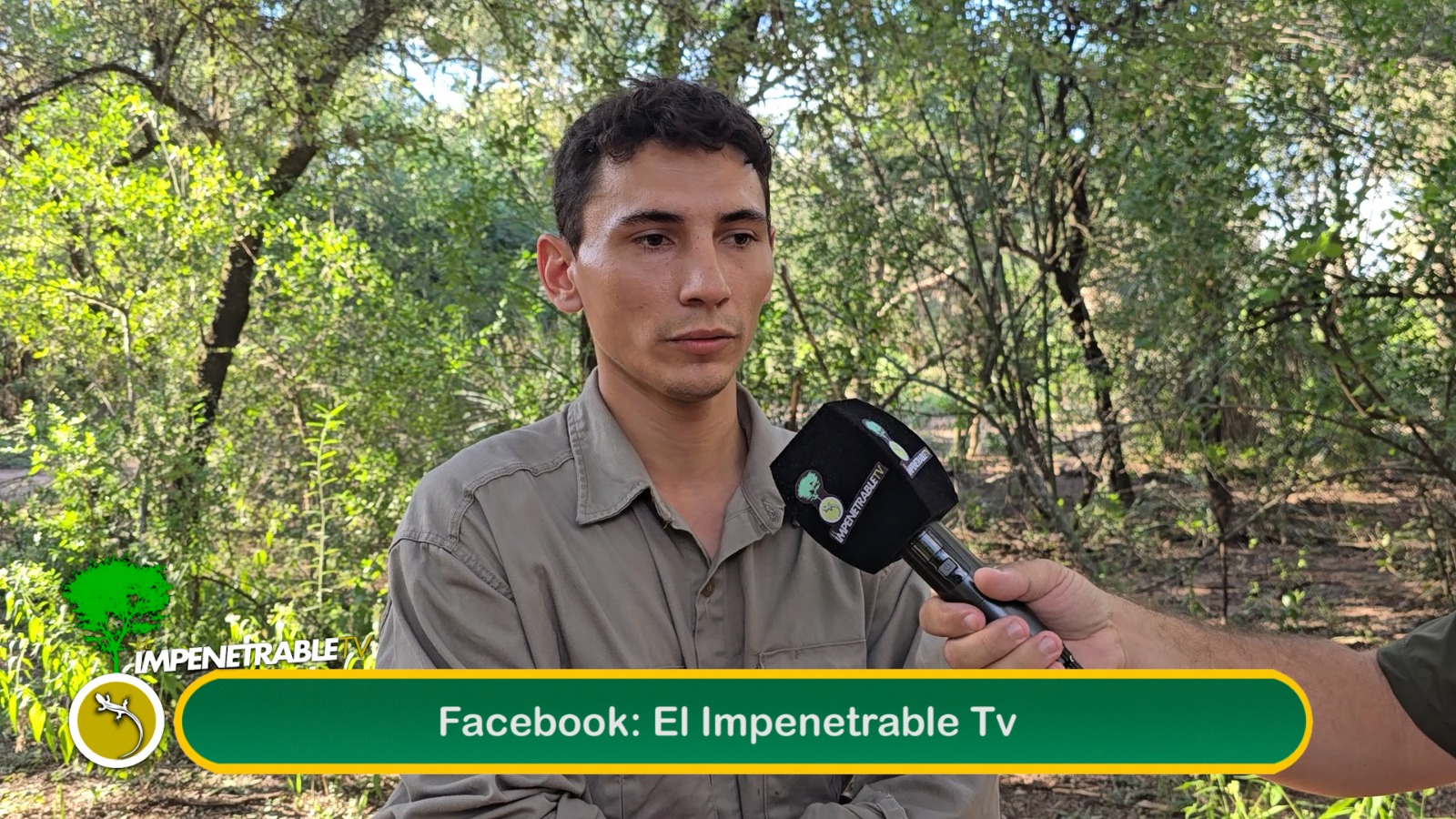 Imagen adicional