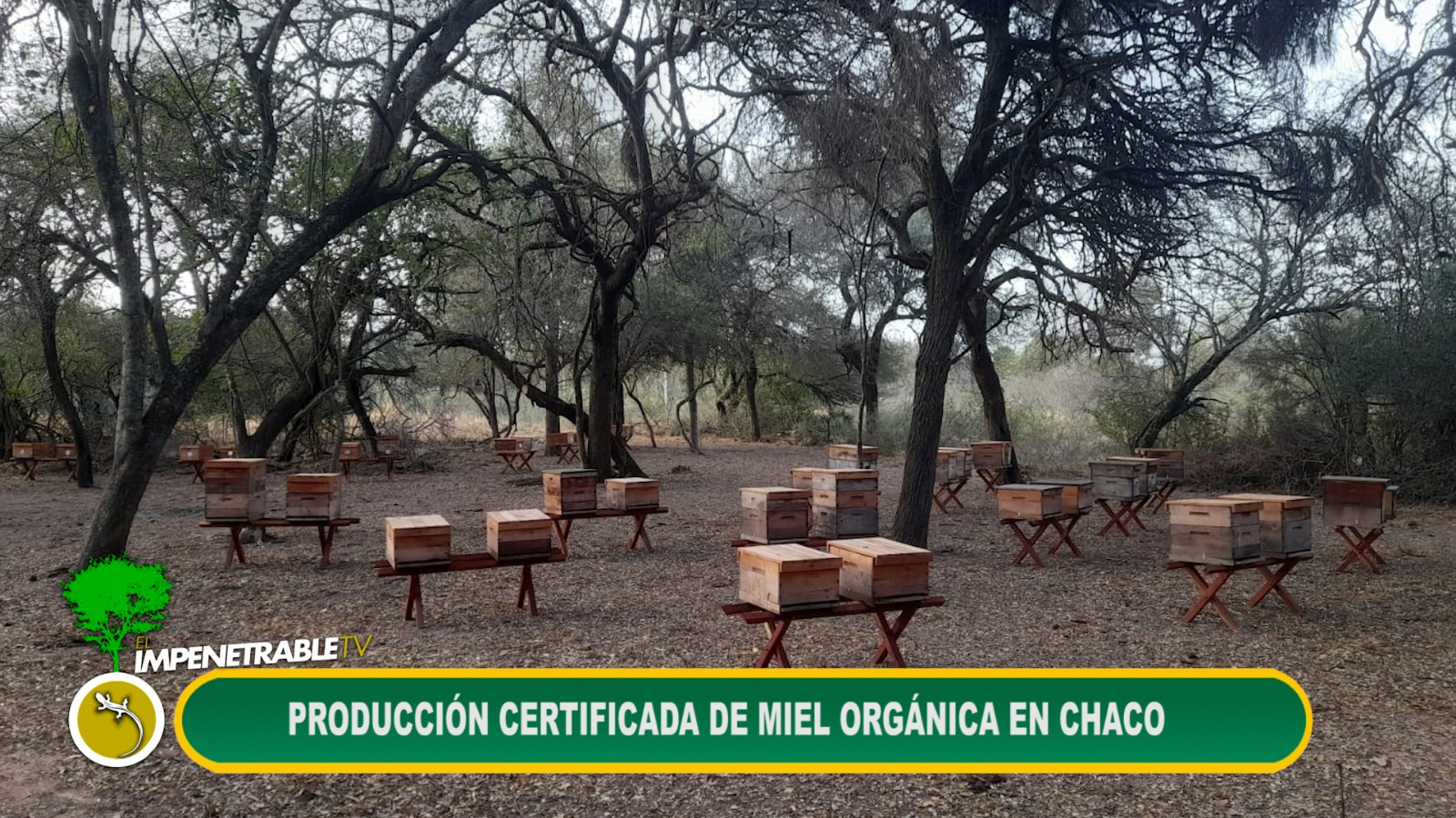 Imagen adicional