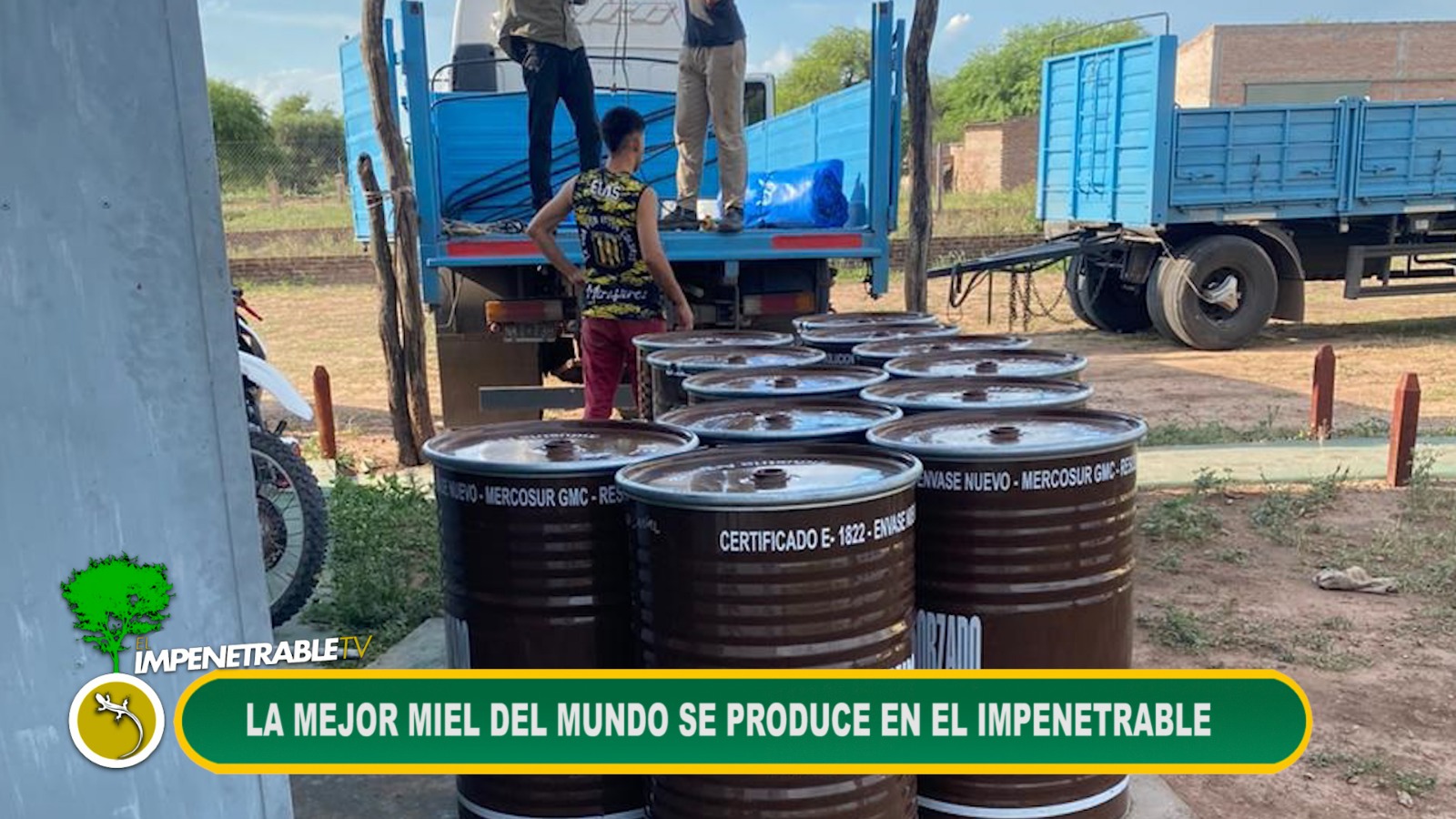 Imagen adicional