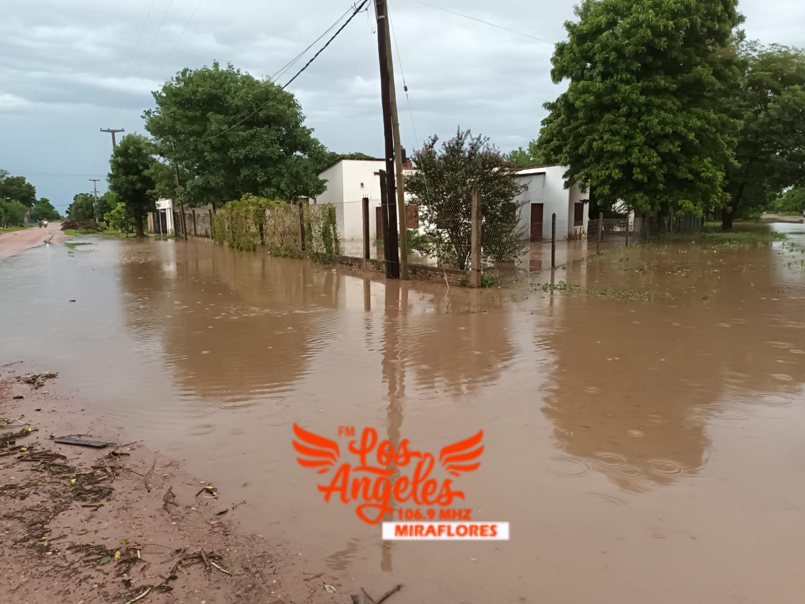 Imagen adicional
