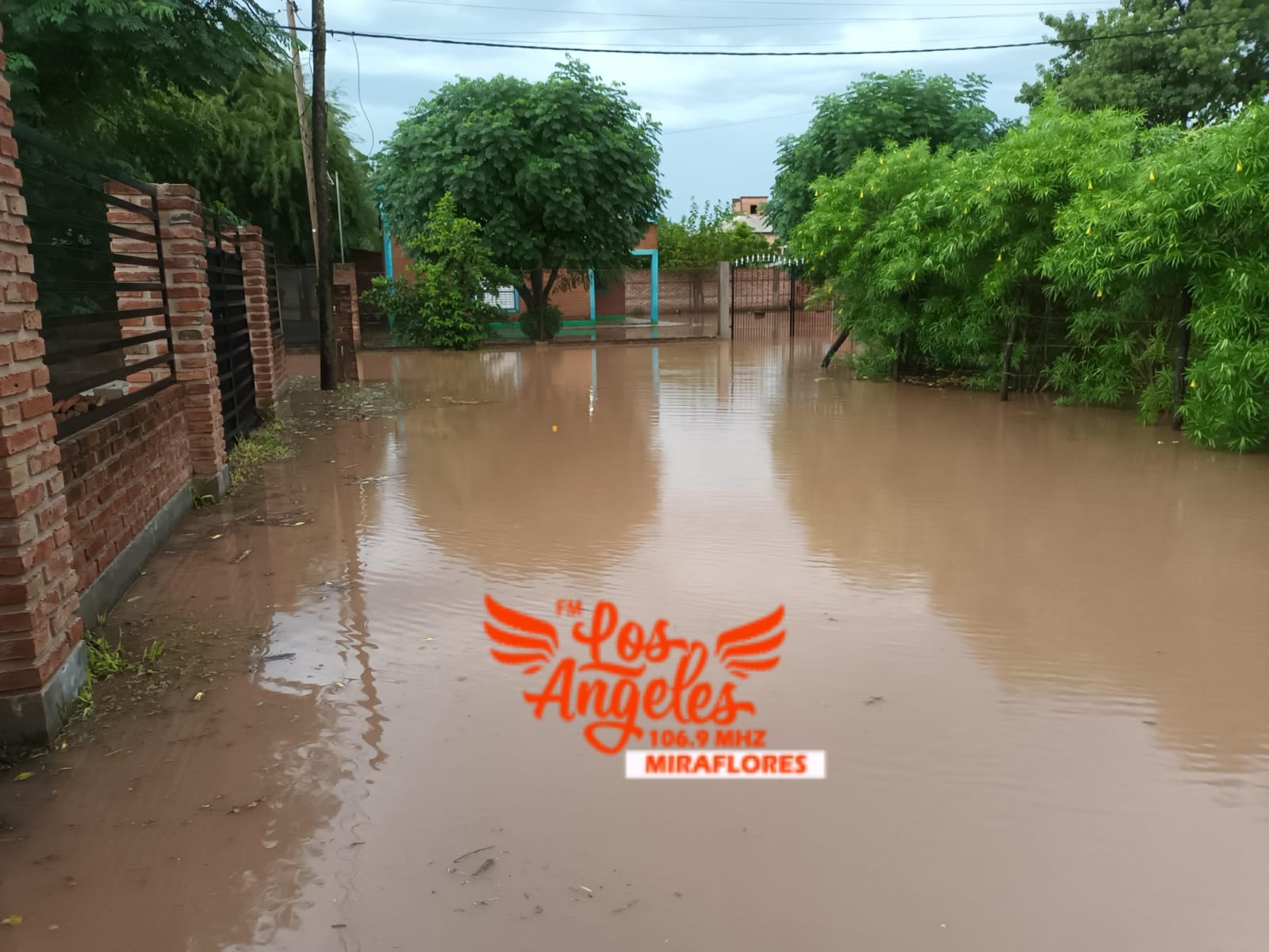 Imagen adicional