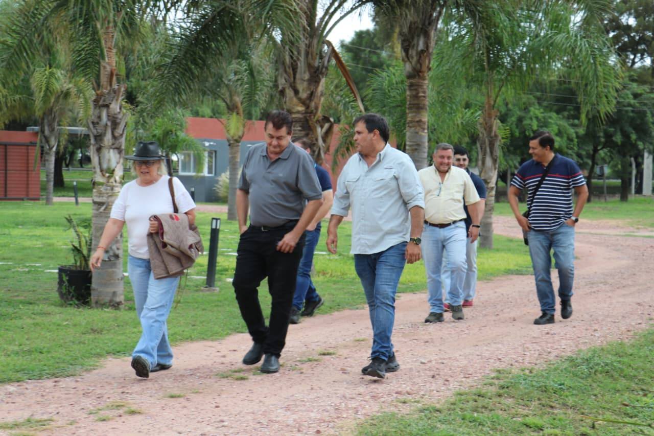 Imagen adicional