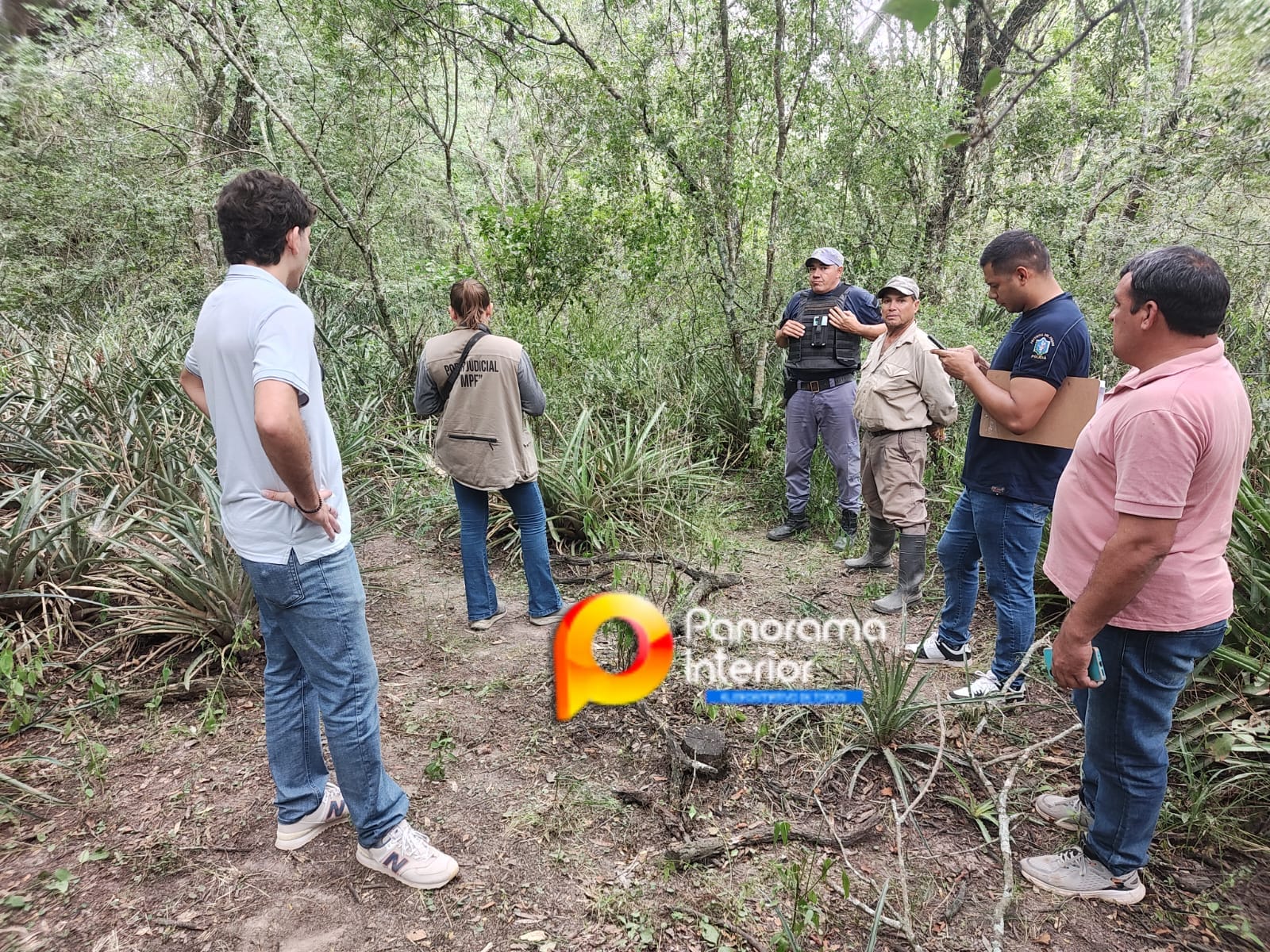 Imagen adicional