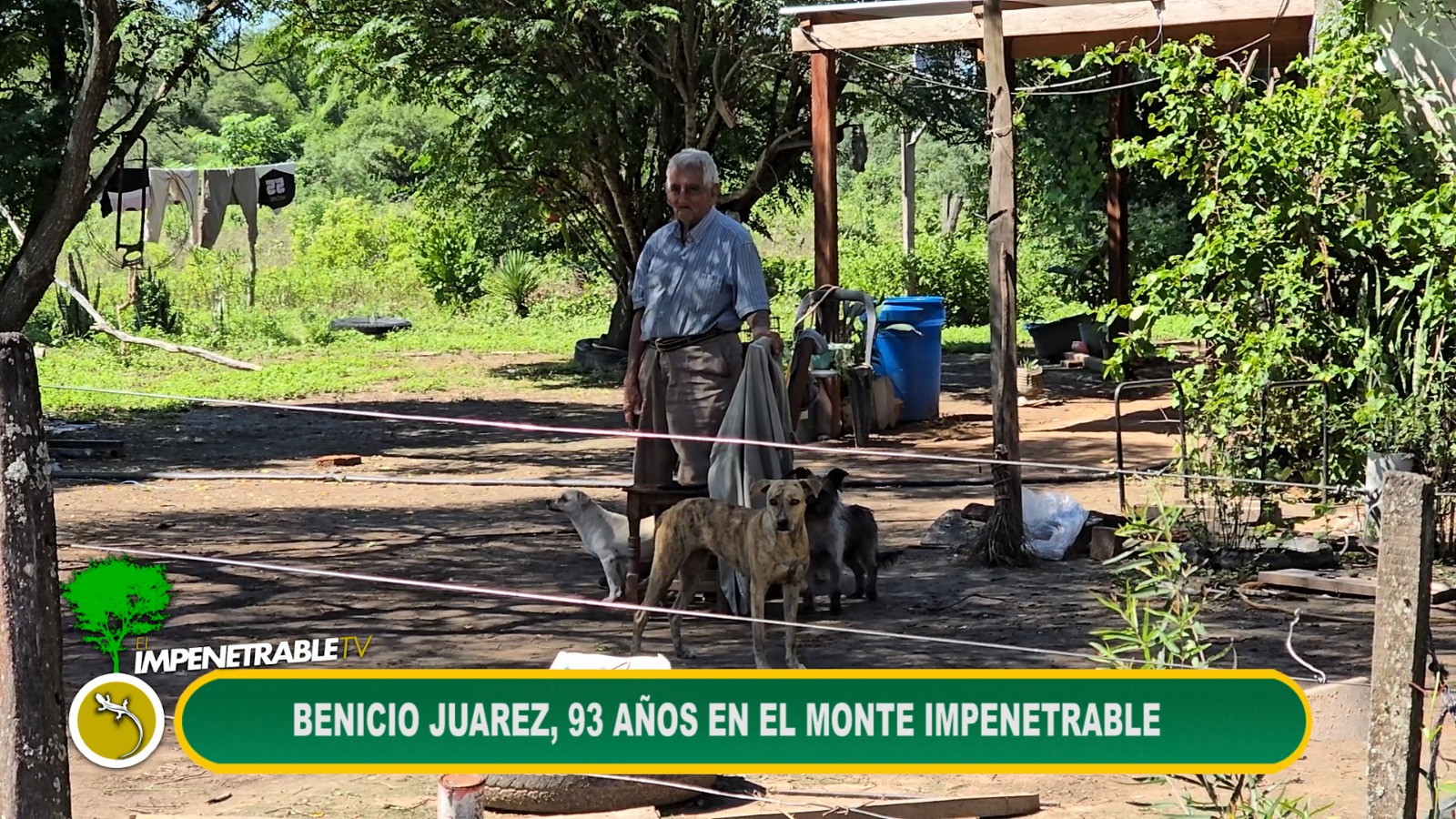 Imagen adicional
