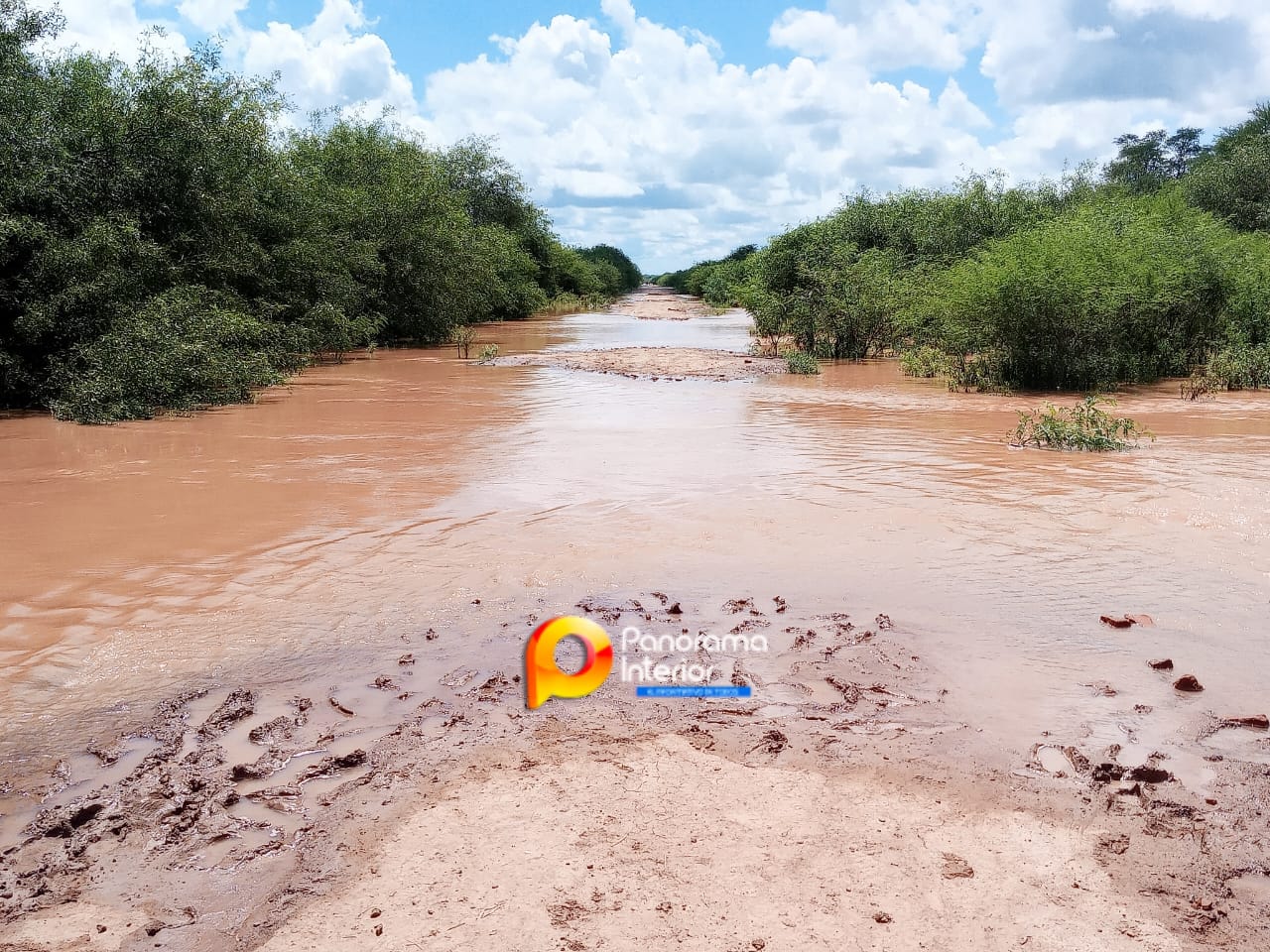 Imagen adicional