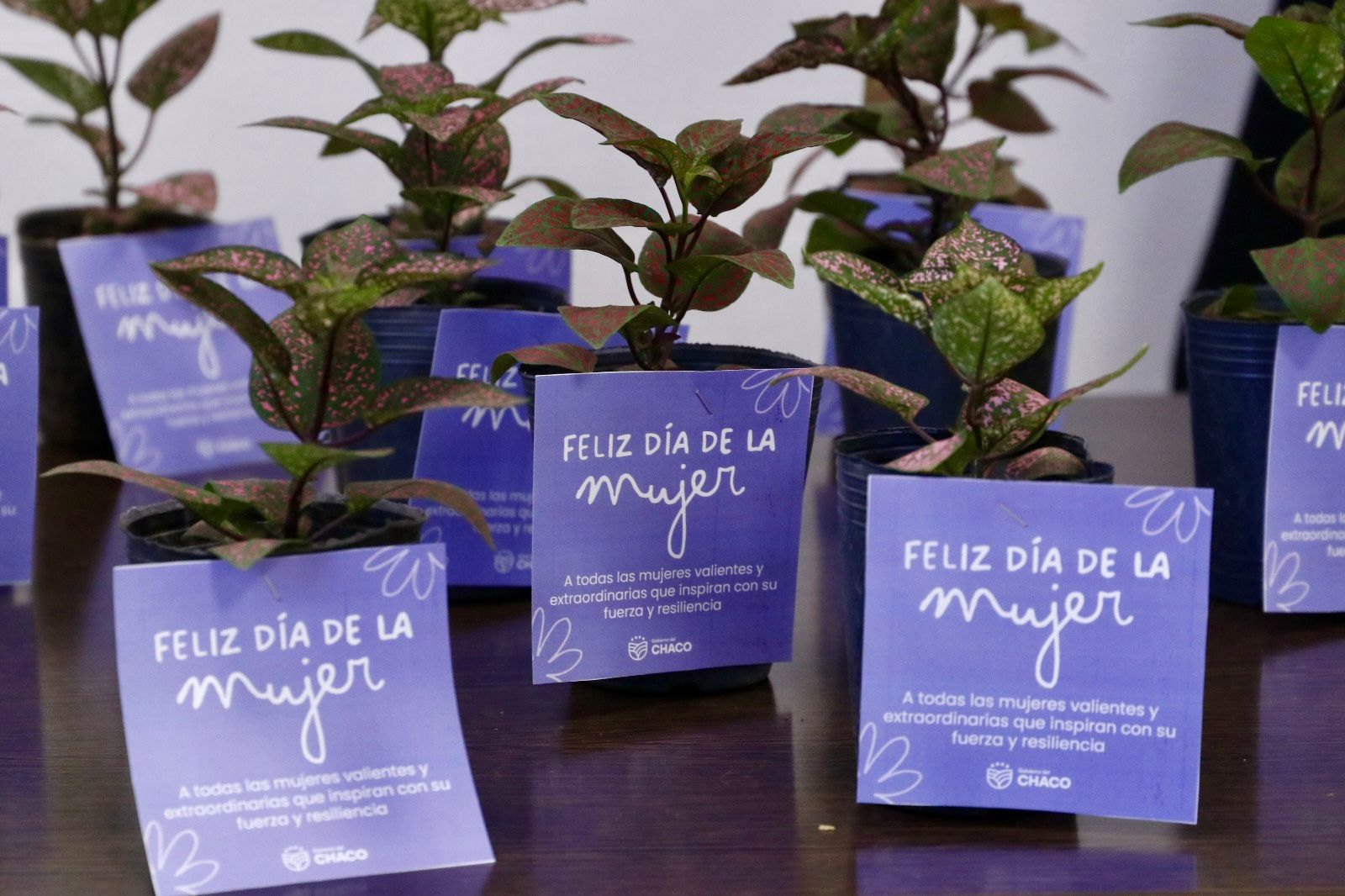 Imagen adicional