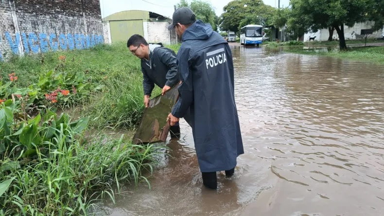 Imagen adicional