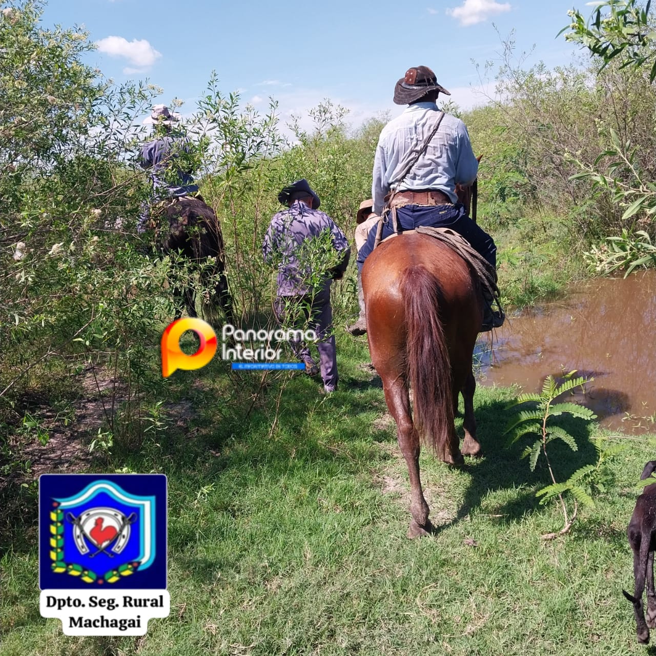 Imagen adicional