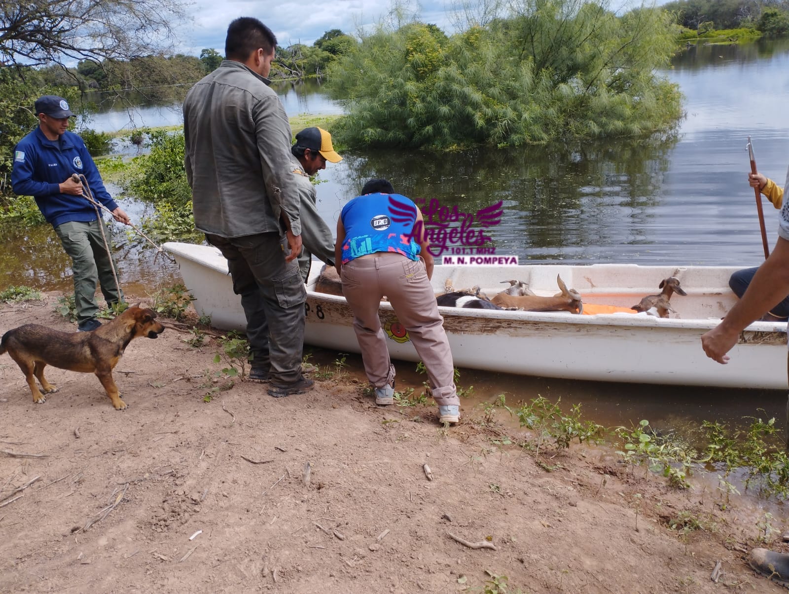 Imagen adicional