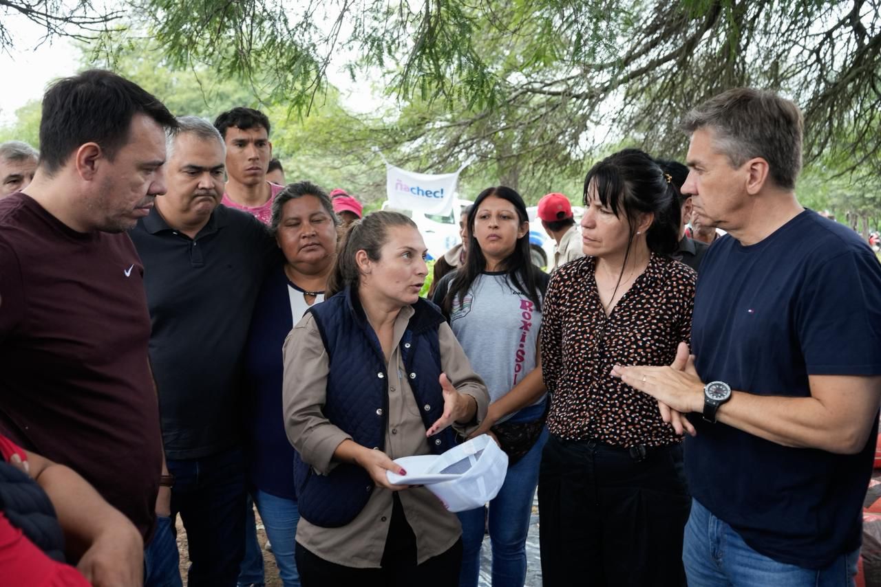 Imagen adicional