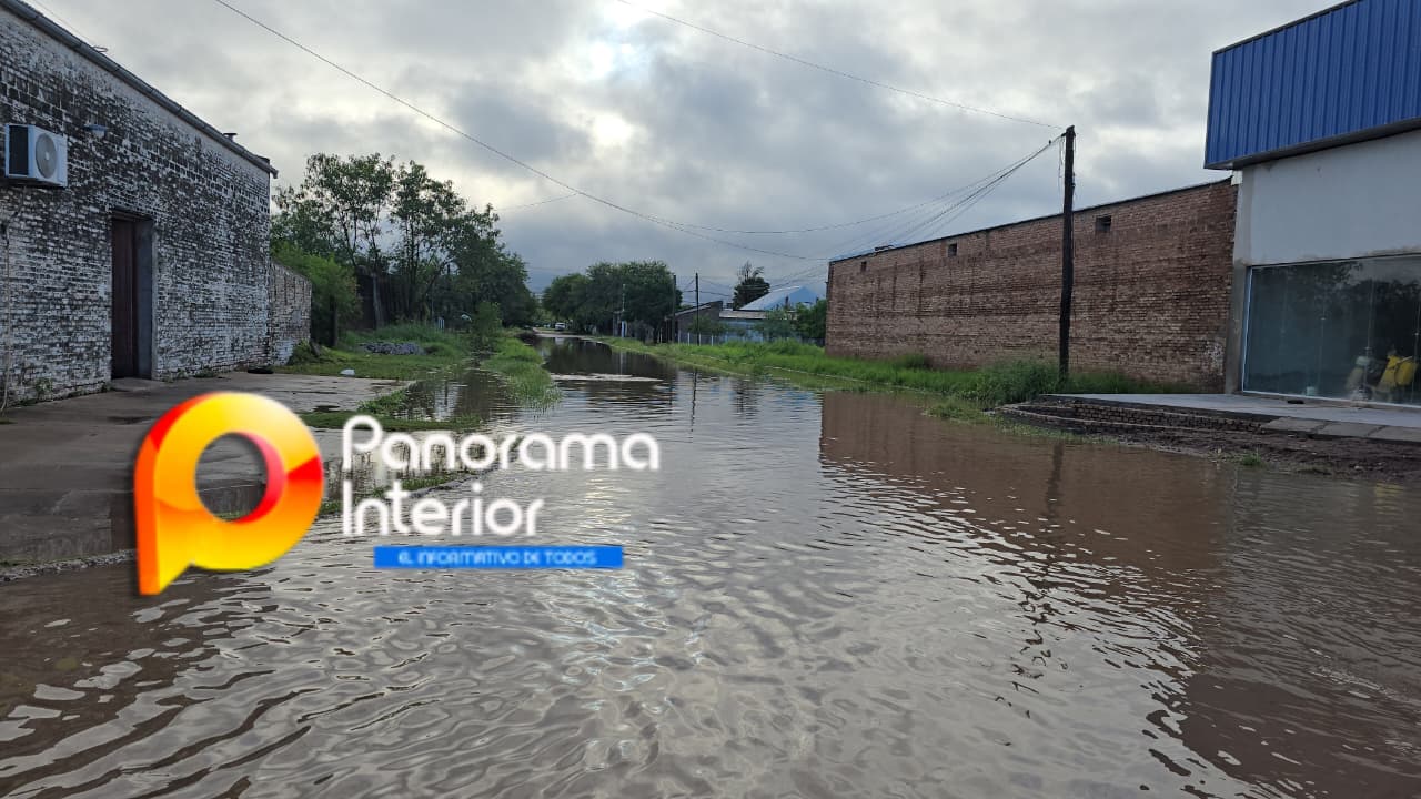 Imagen adicional