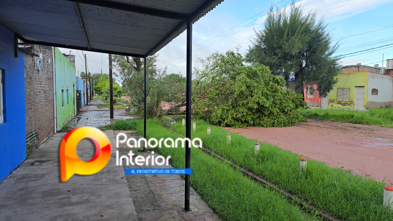 Imagen adicional