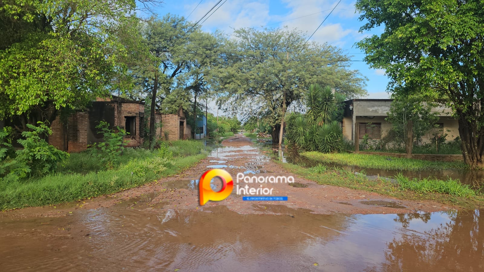 Imagen adicional