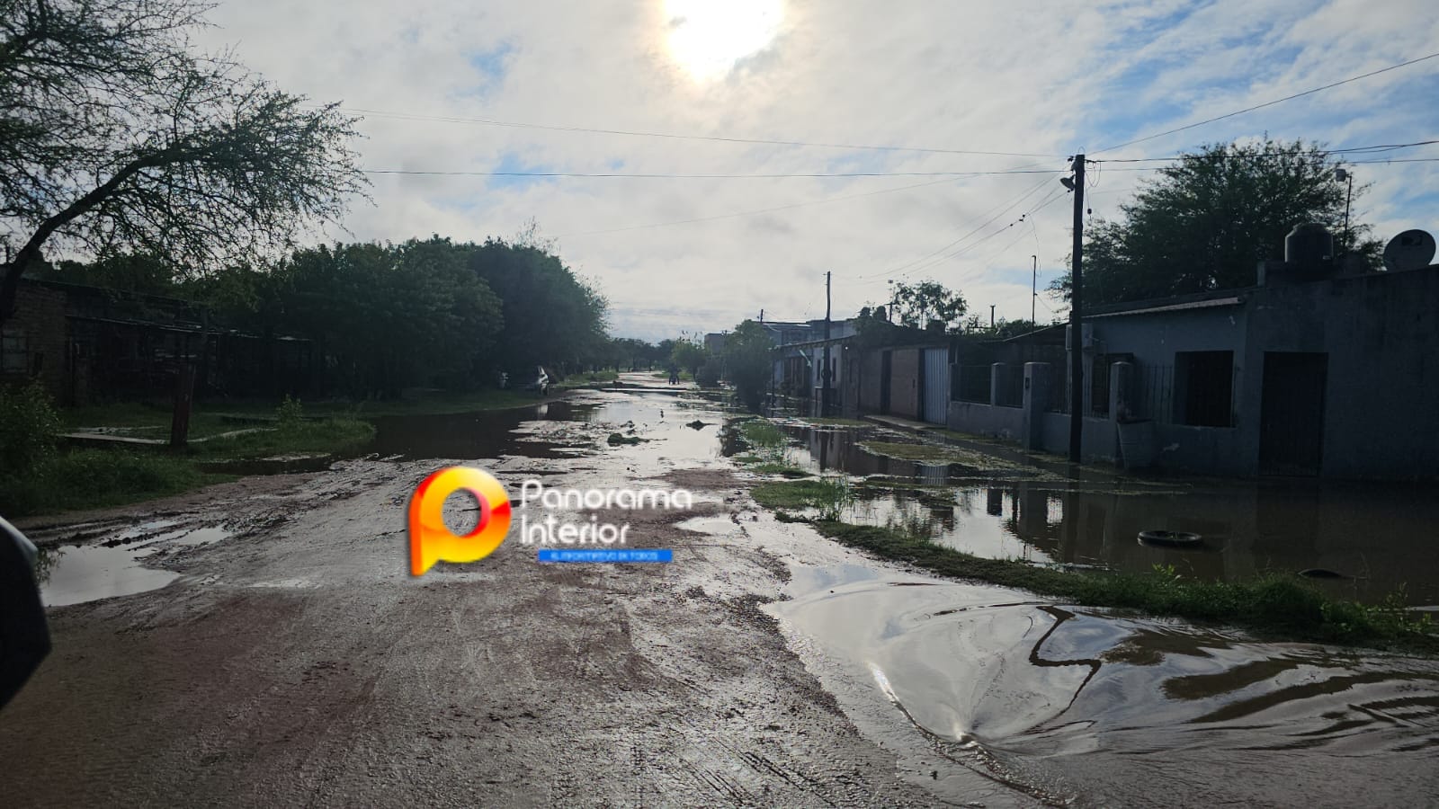 Imagen adicional