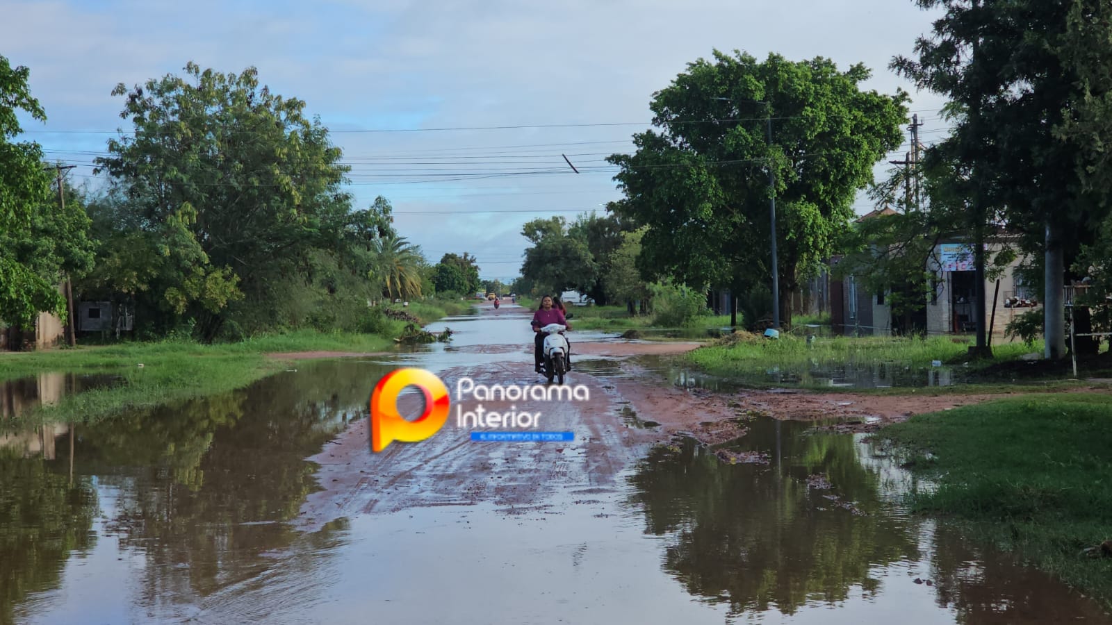 Imagen adicional