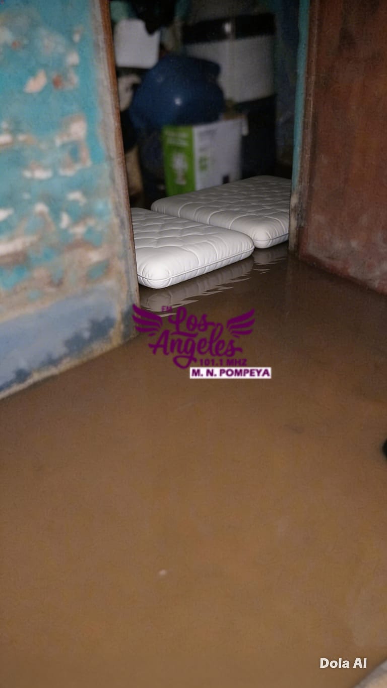Imagen adicional