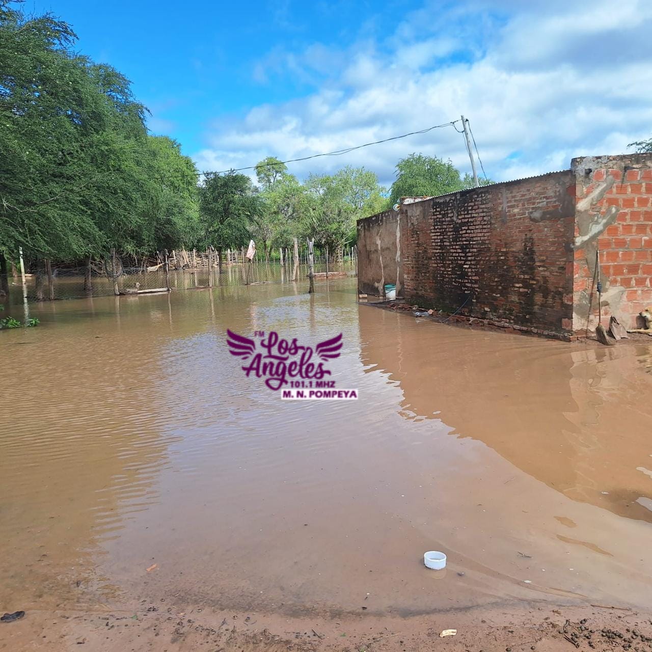 Imagen adicional