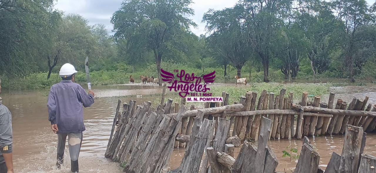 Imagen adicional