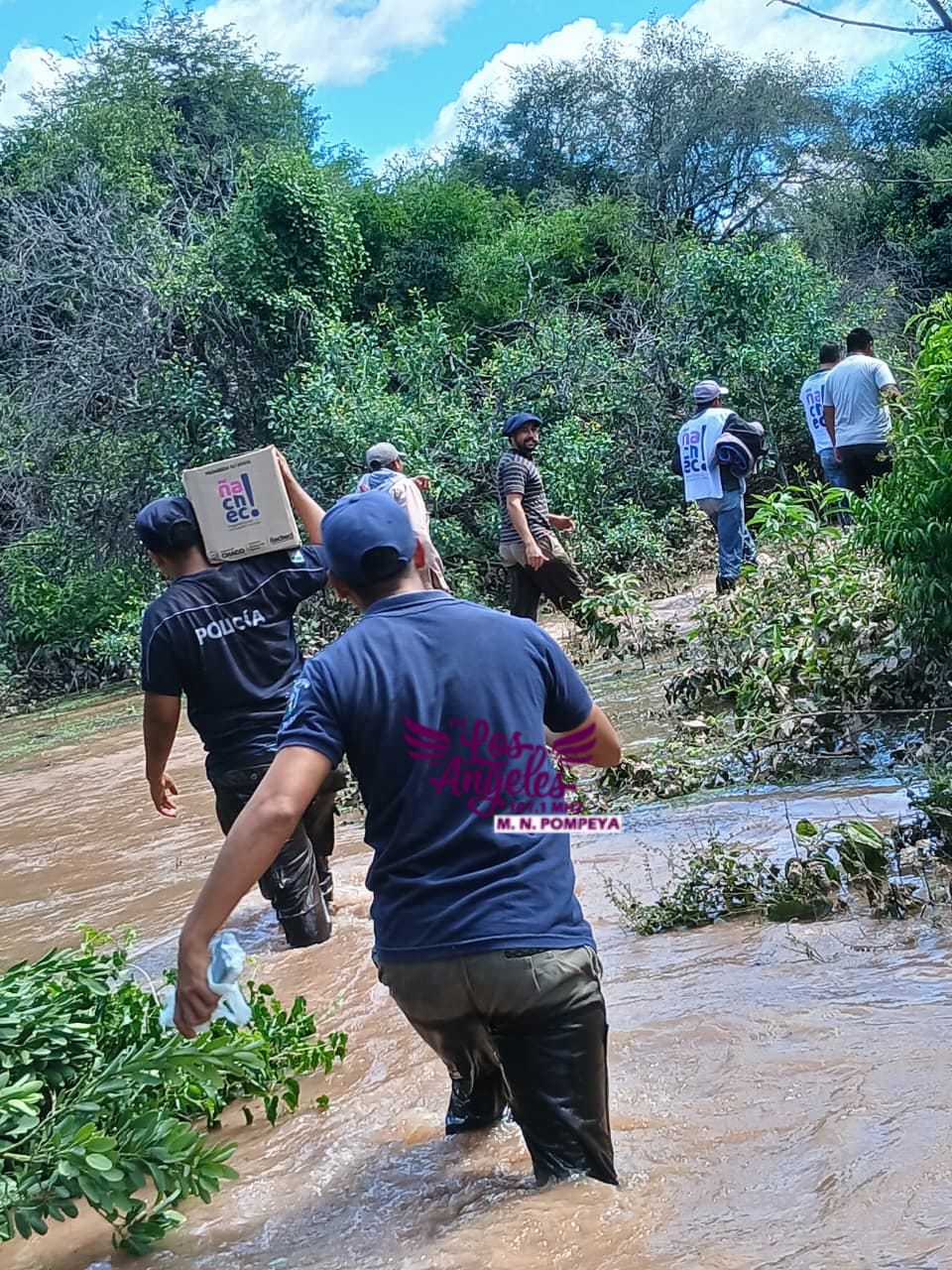 Imagen adicional
